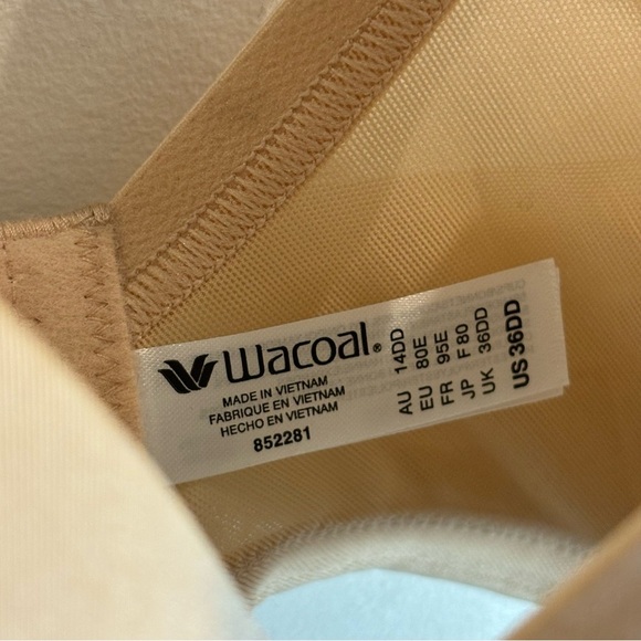 WACOAL Sz 36DD Bra Underwire Free Padded Full Coverage High Sides Adjustable NEW - Picture 5 of 12